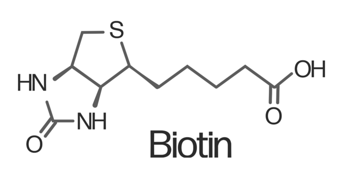 Acupuncture Injection Therapy: BIOTIN image